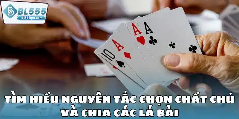 choi-bai-tan-de-hieu-tim-hieu