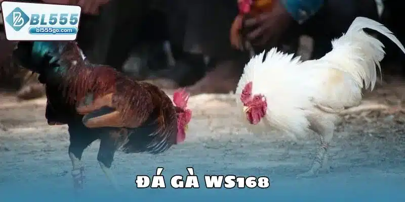 da-ga-ws168